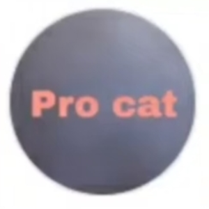 Pro cat.png